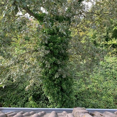 Kleines Apartment In Moenchengladbach-Neuwerk Ngoại thất bức ảnh