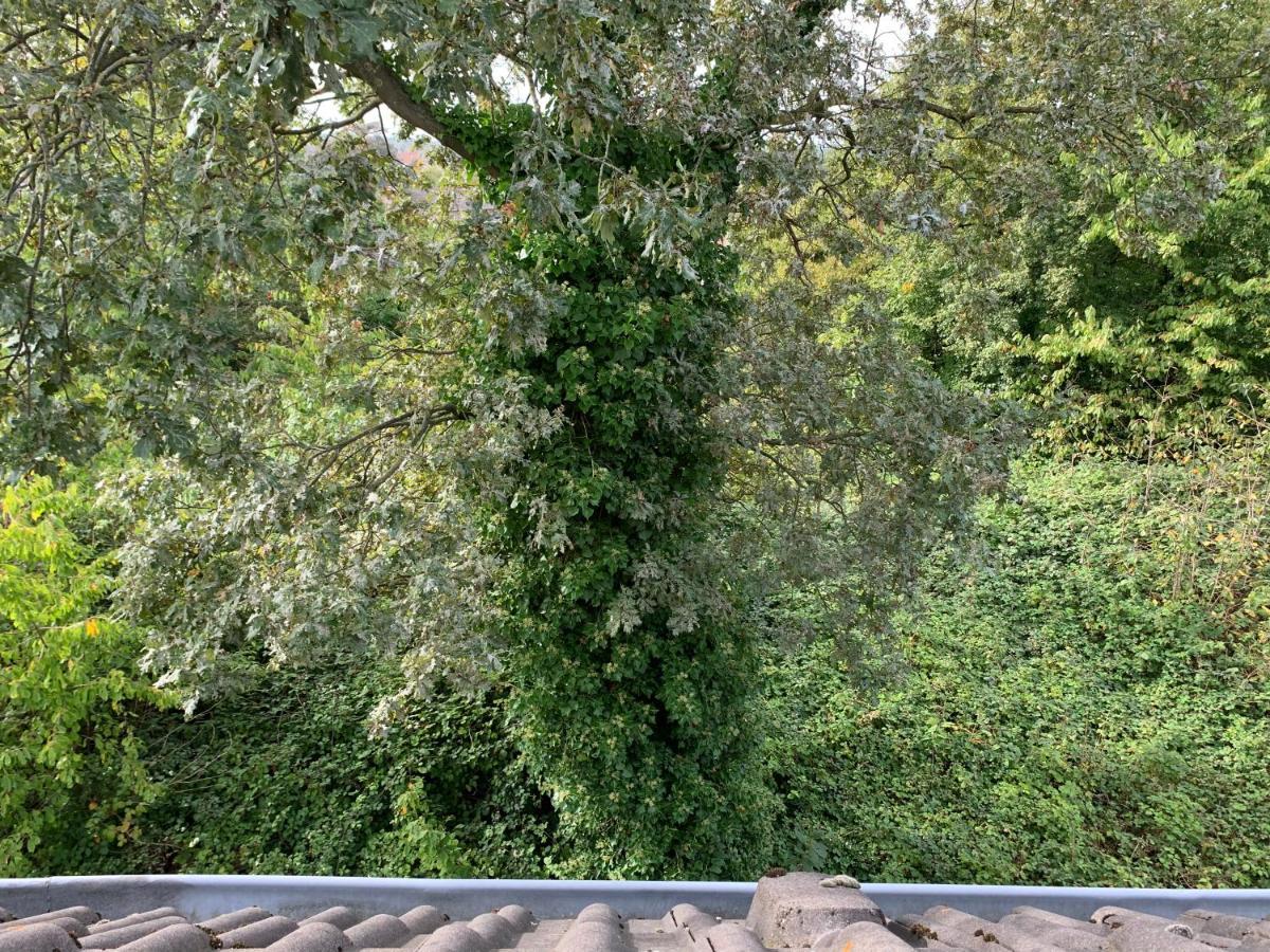 Kleines Apartment In Moenchengladbach-Neuwerk Ngoại thất bức ảnh